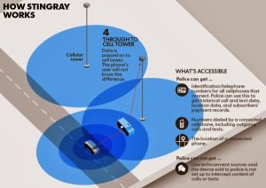 Stingray (1)