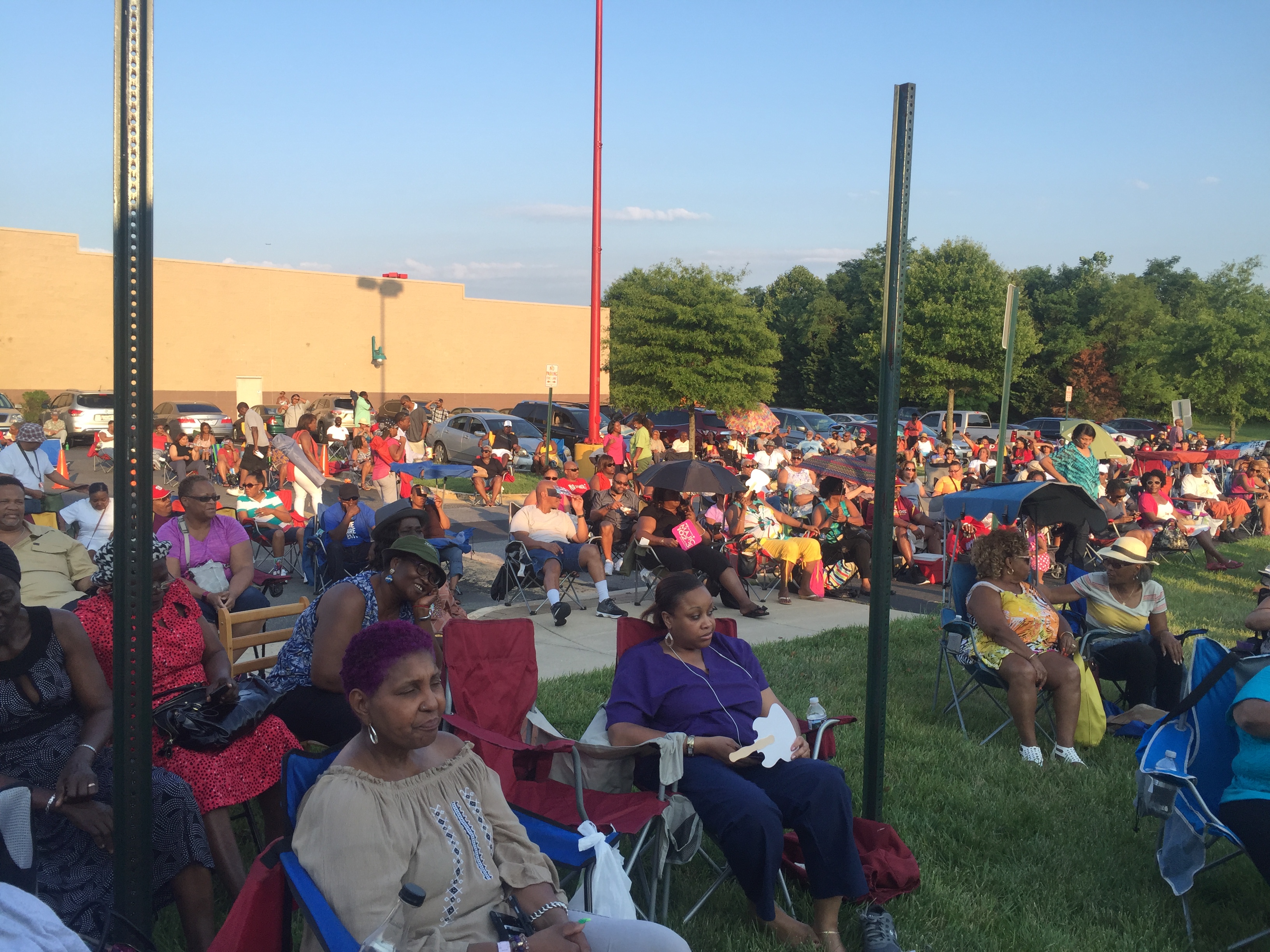 Wild Down Thursdays June 30th