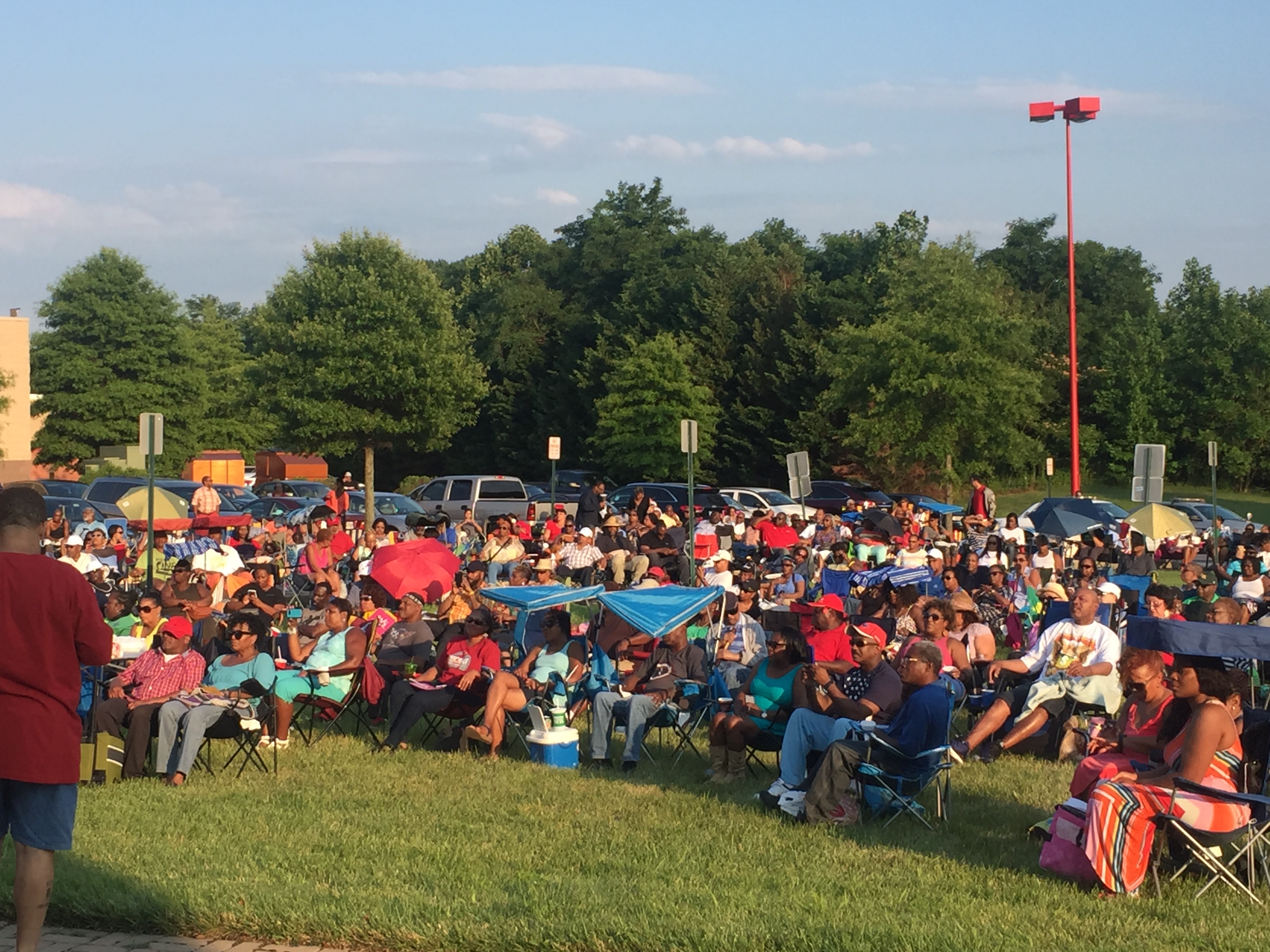 Wild Down Thursdays June 30th