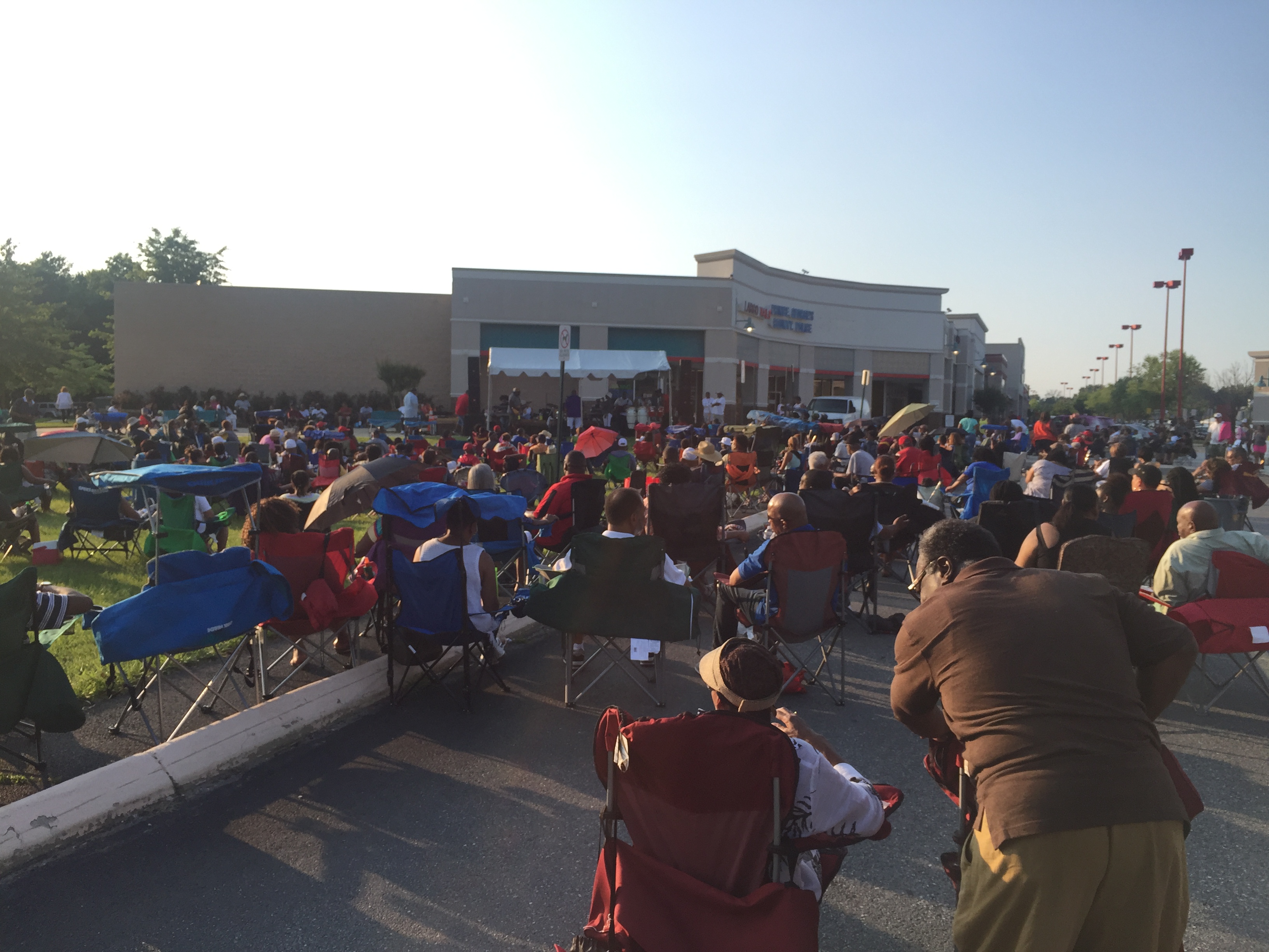 Wild Down Thursdays June 30th