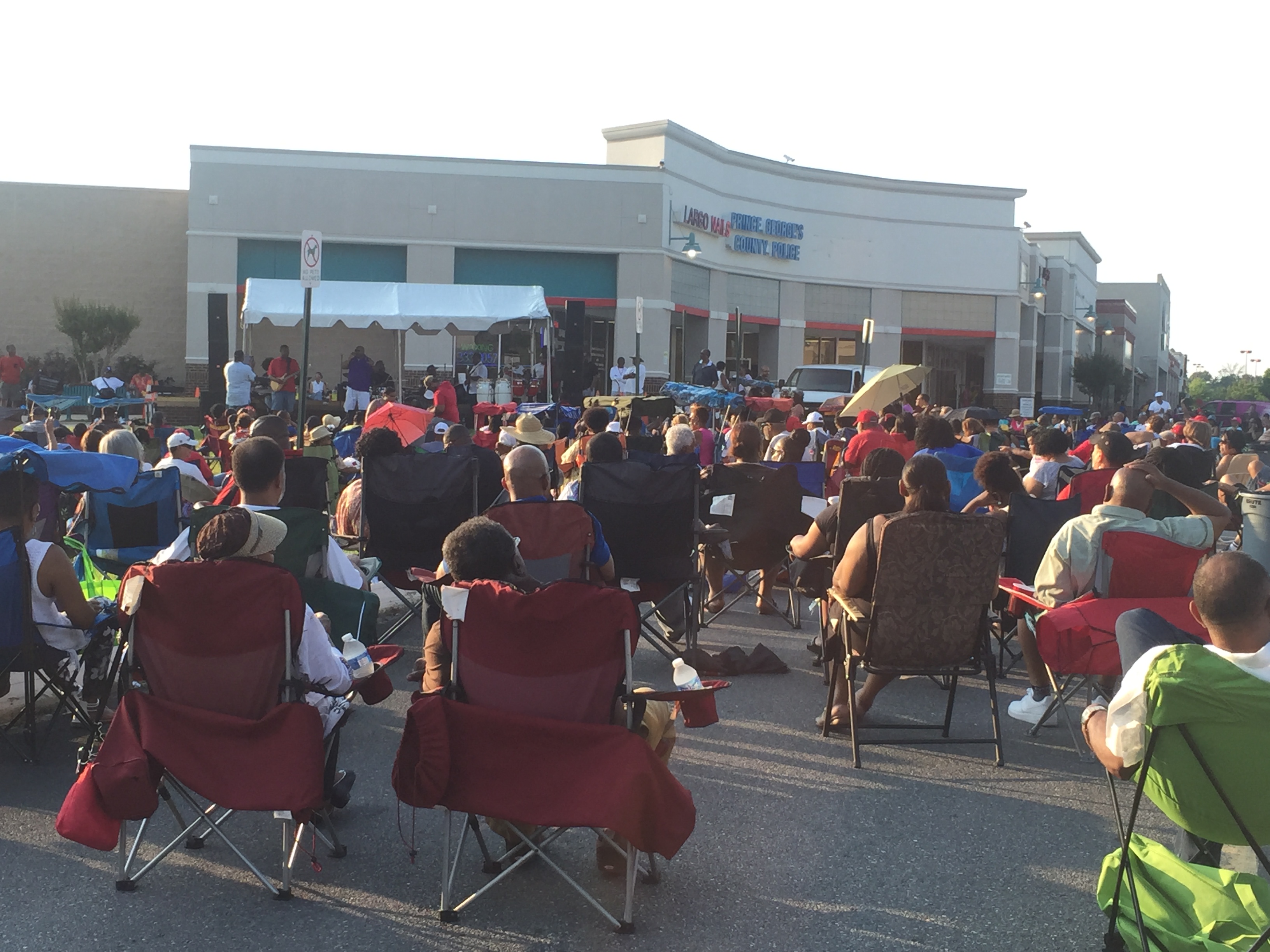 Wild Down Thursdays June 30th