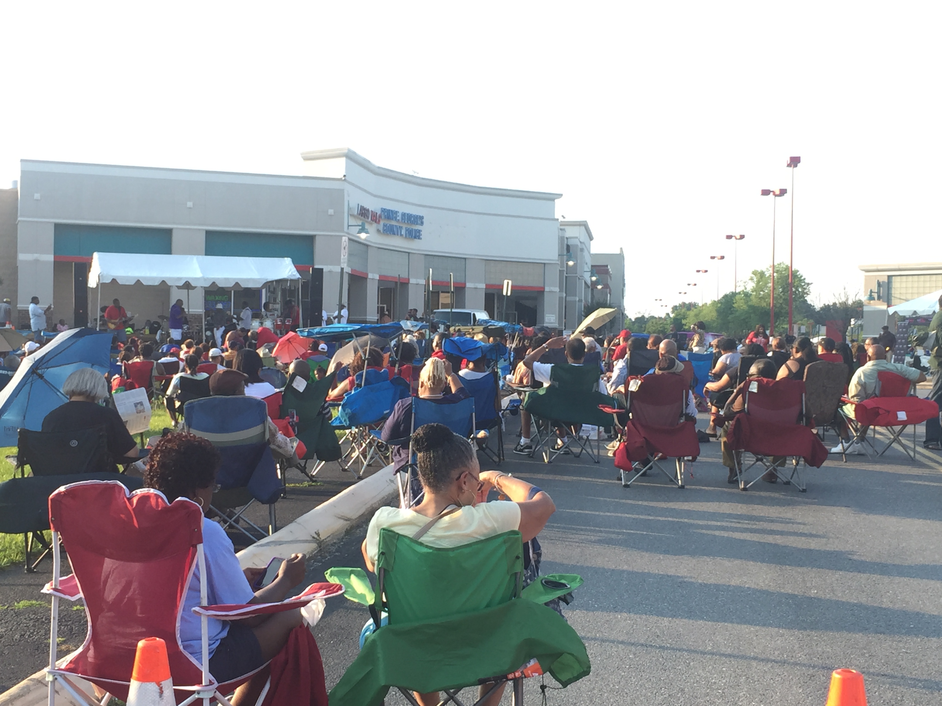 Wild Down Thursdays June 30th