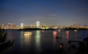 Rainbow bridge and Tokyo tower at night
