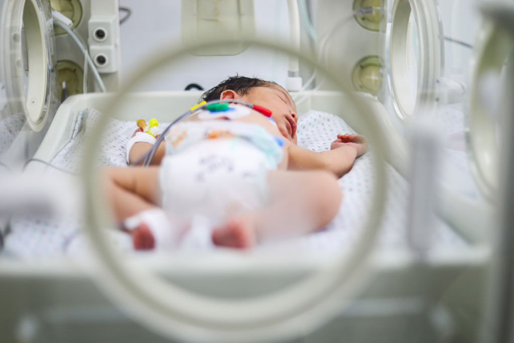 Patient Friends Association Hospital opens a section for premature babies evacuated from Jabalia